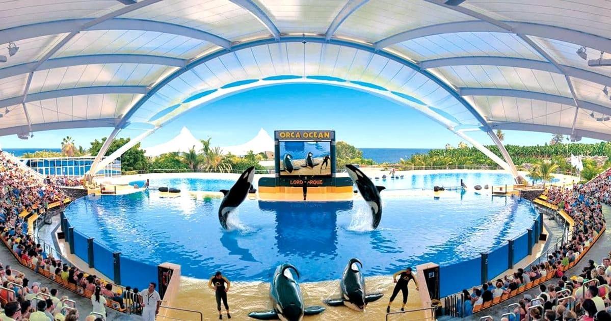 Lujoso Apartamento Completo, Piscina, Terraza Con Vistas Al Teide Puerto de la Cruz  Ngoại thất bức ảnh